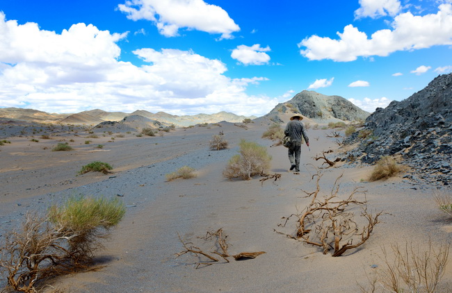 18 組照2-4：《荒漠獨行俠》-王權_調(diào)整大小.JPG