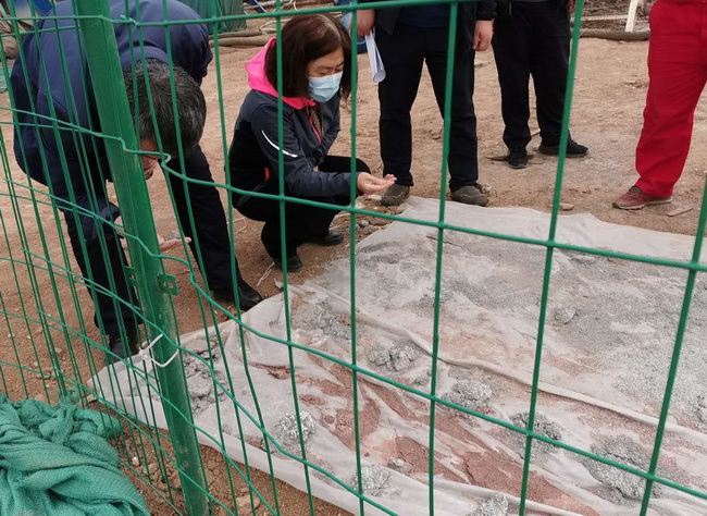 2  1_調(diào)整大小.jpg